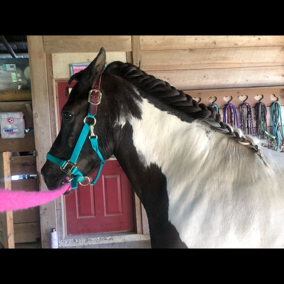 🌺 Meet your Posher 🌺 - Picture 12 of 12